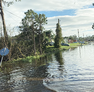 Streetwise IR business news on Hurricane Ian Losses (image of flooded street in North Port, Florida).