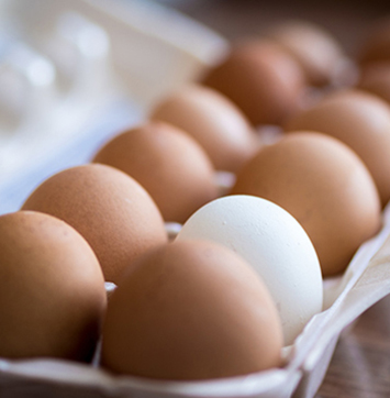 Close up image of eggs in a carton.