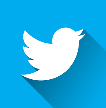 Image of Twitter logo with shadow.
